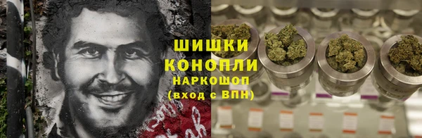 индика Бронницы