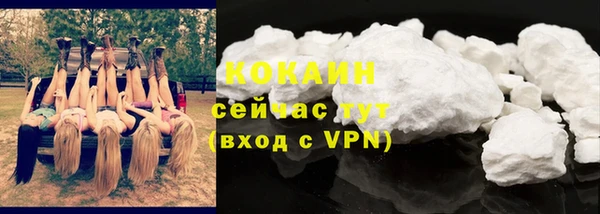 спиды Бородино