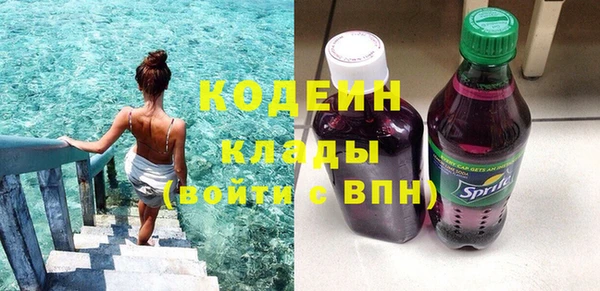 индика Бронницы
