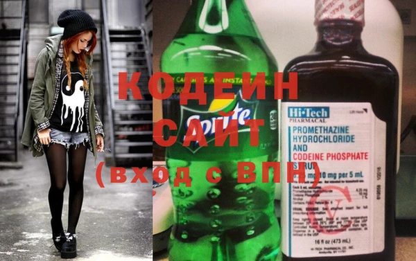 индика Бронницы