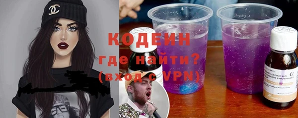 спиды Бородино