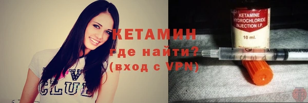 индика Бронницы