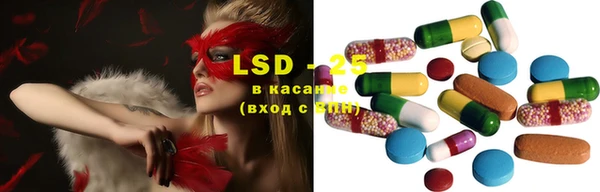 индика Бронницы