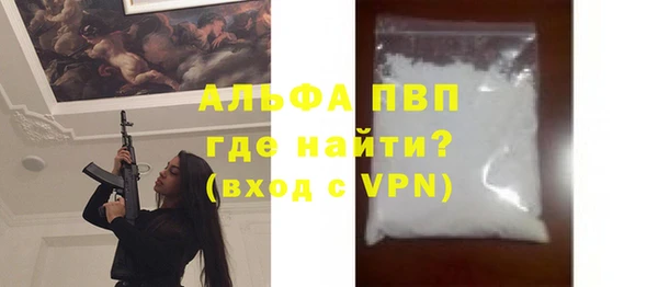 спиды Бородино