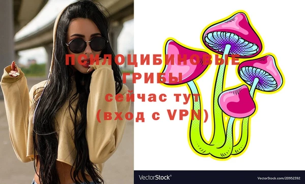 дмт Бугульма