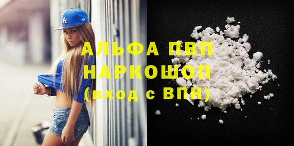 спиды Бородино