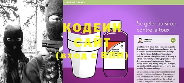 индика Бронницы